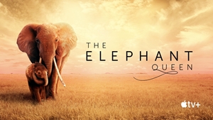 The Elephant Queen Apple tv+